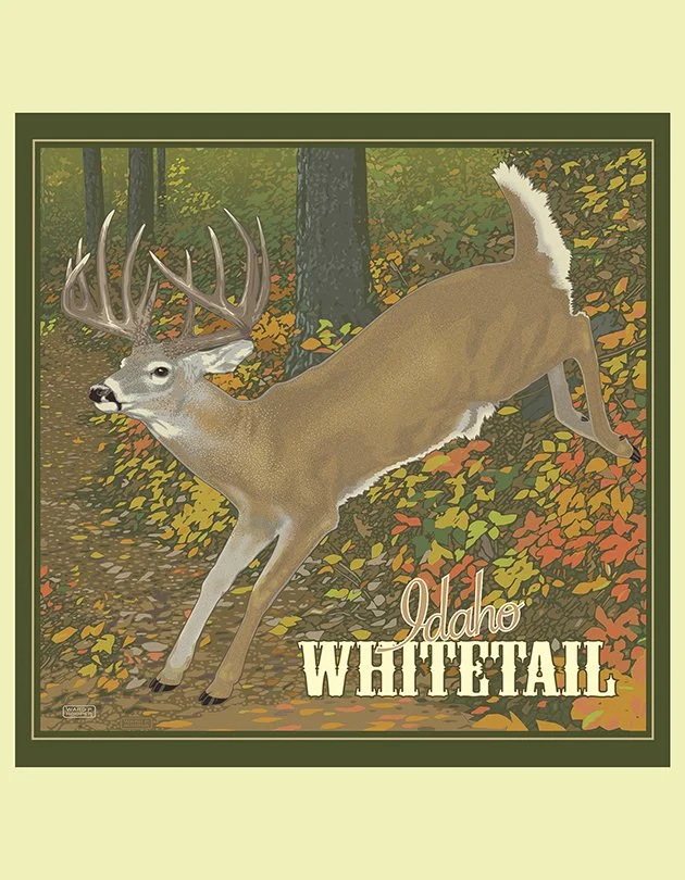 Idaho Whitetail