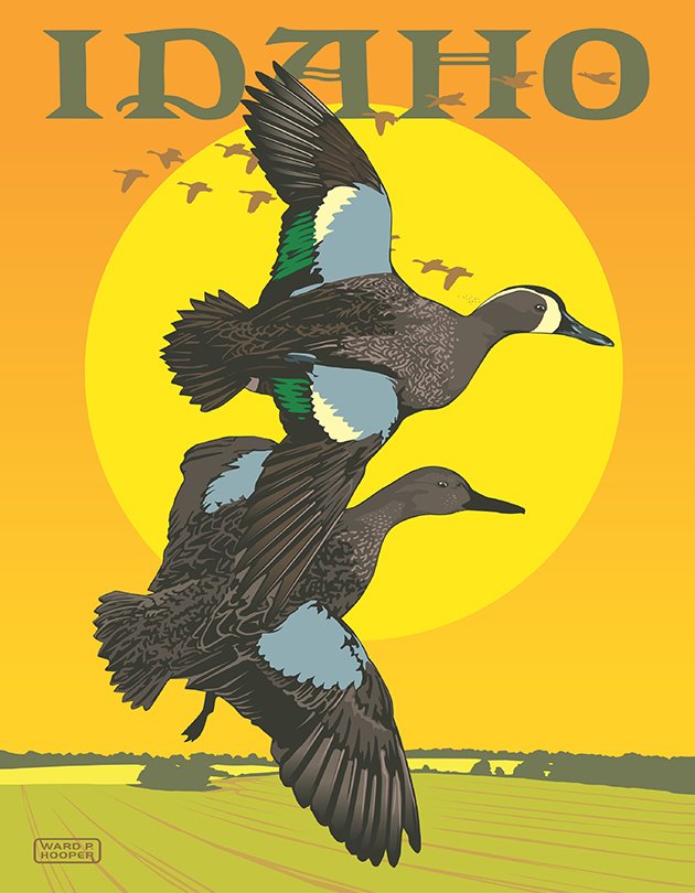 Idaho Ducks