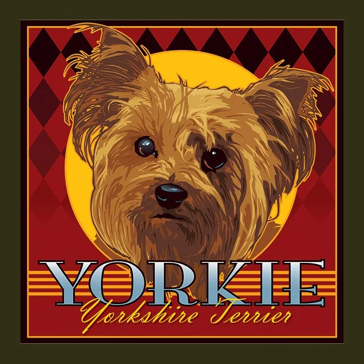 Yorkshire Terrier lores.jpg