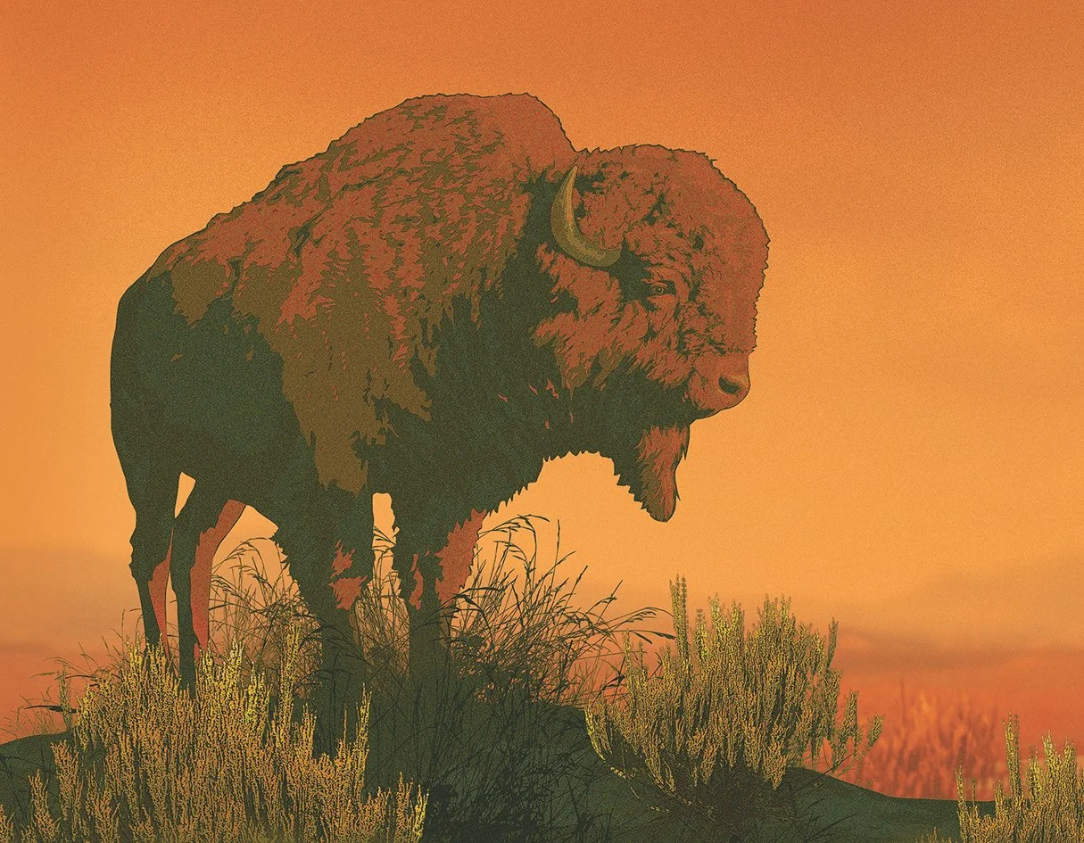 Buffalo Hill lores copy.jpg