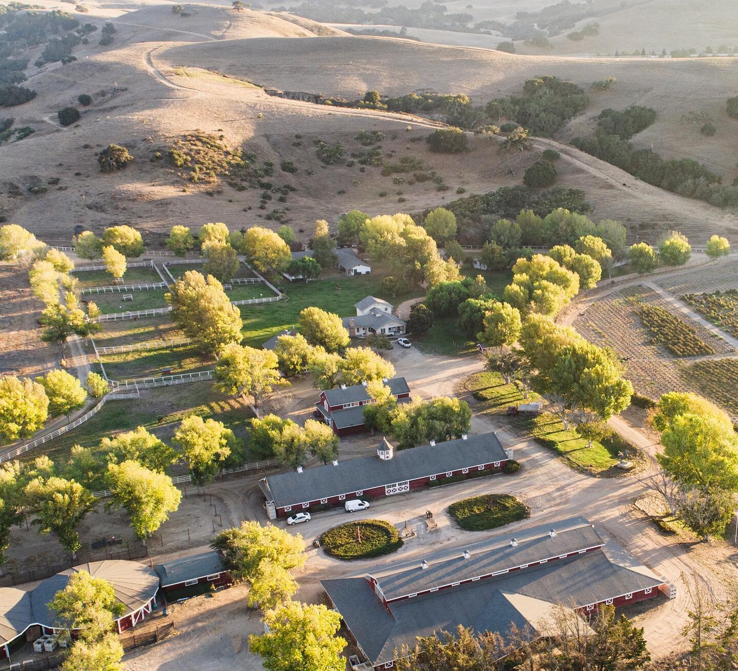 Lots in store here at the farm for 2021! And if you haven&rsquo;t done so yet, check out our new website with some details of what&rsquo;s to come. Website link is up in our bio. #highstarfarms #sungrowncannabis #losalamos