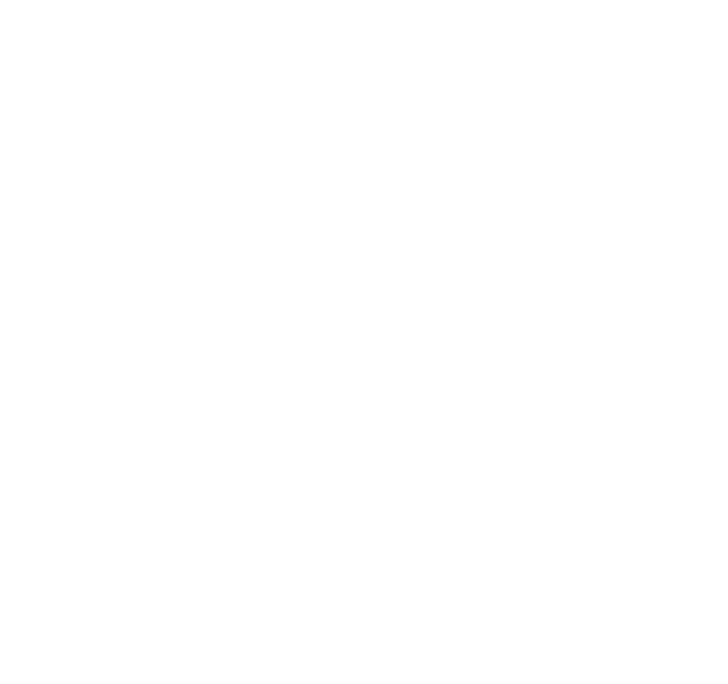 Nancy Volpe Beringer