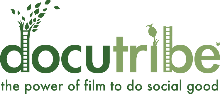 The Video Essay The Video Essay