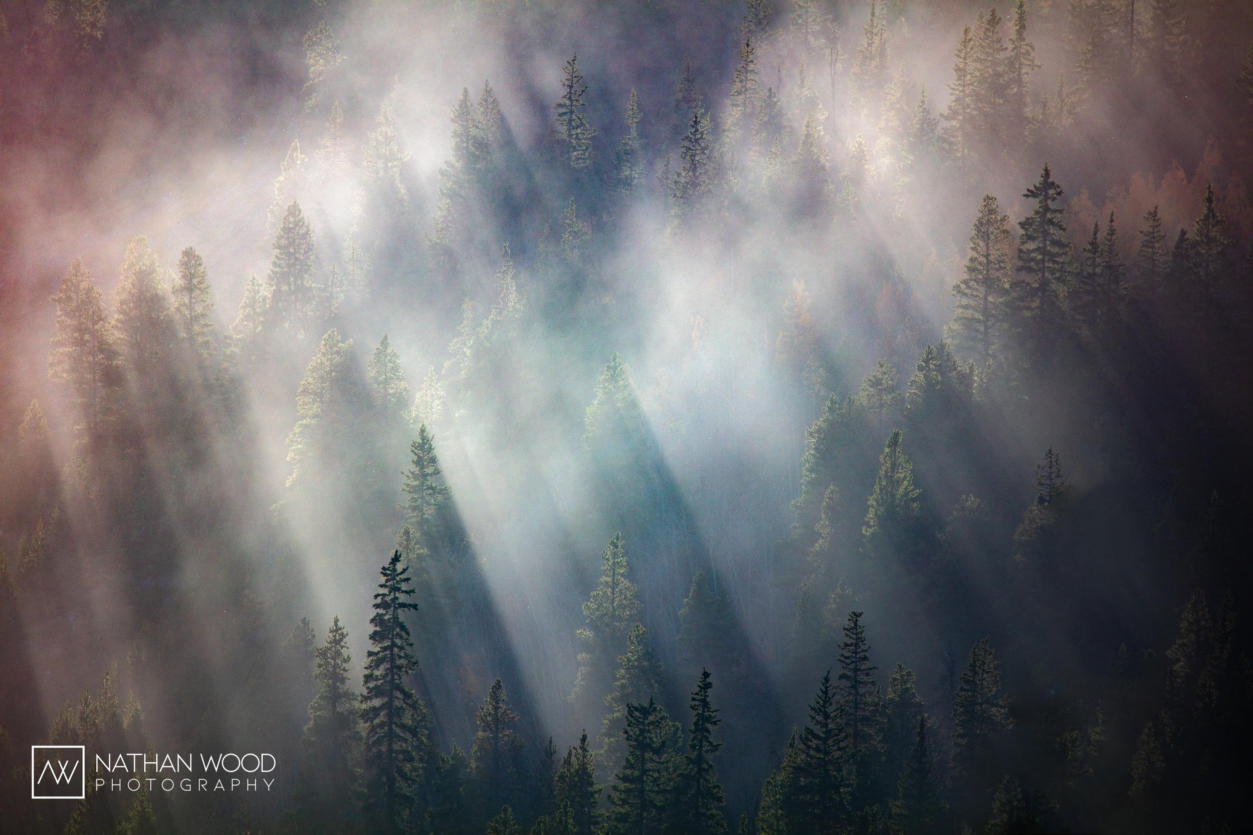 IMG_8782-Edit.jpg