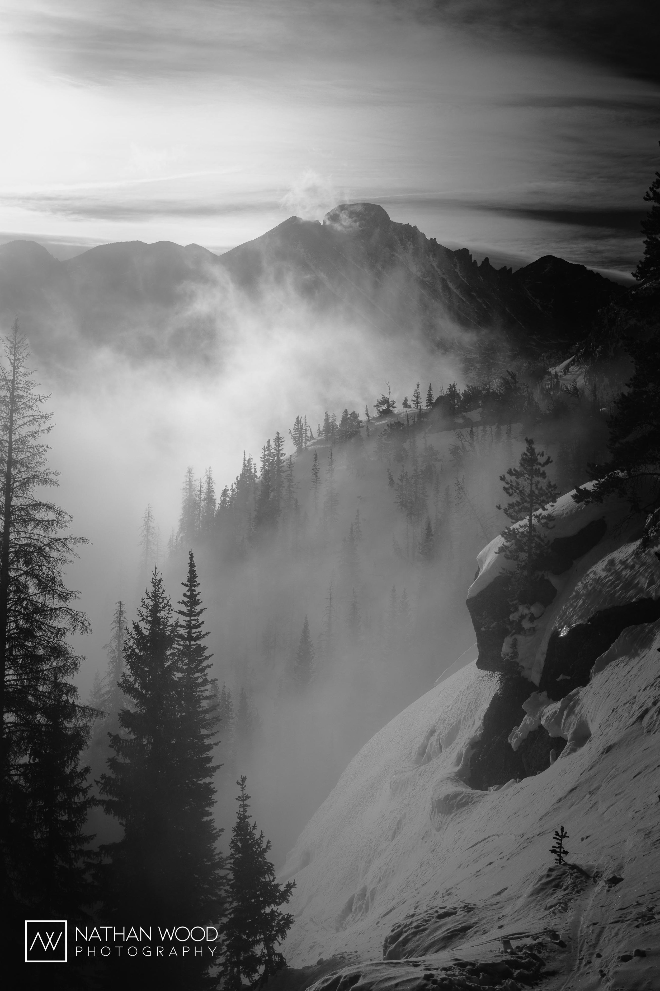 _MG_7347.jpg