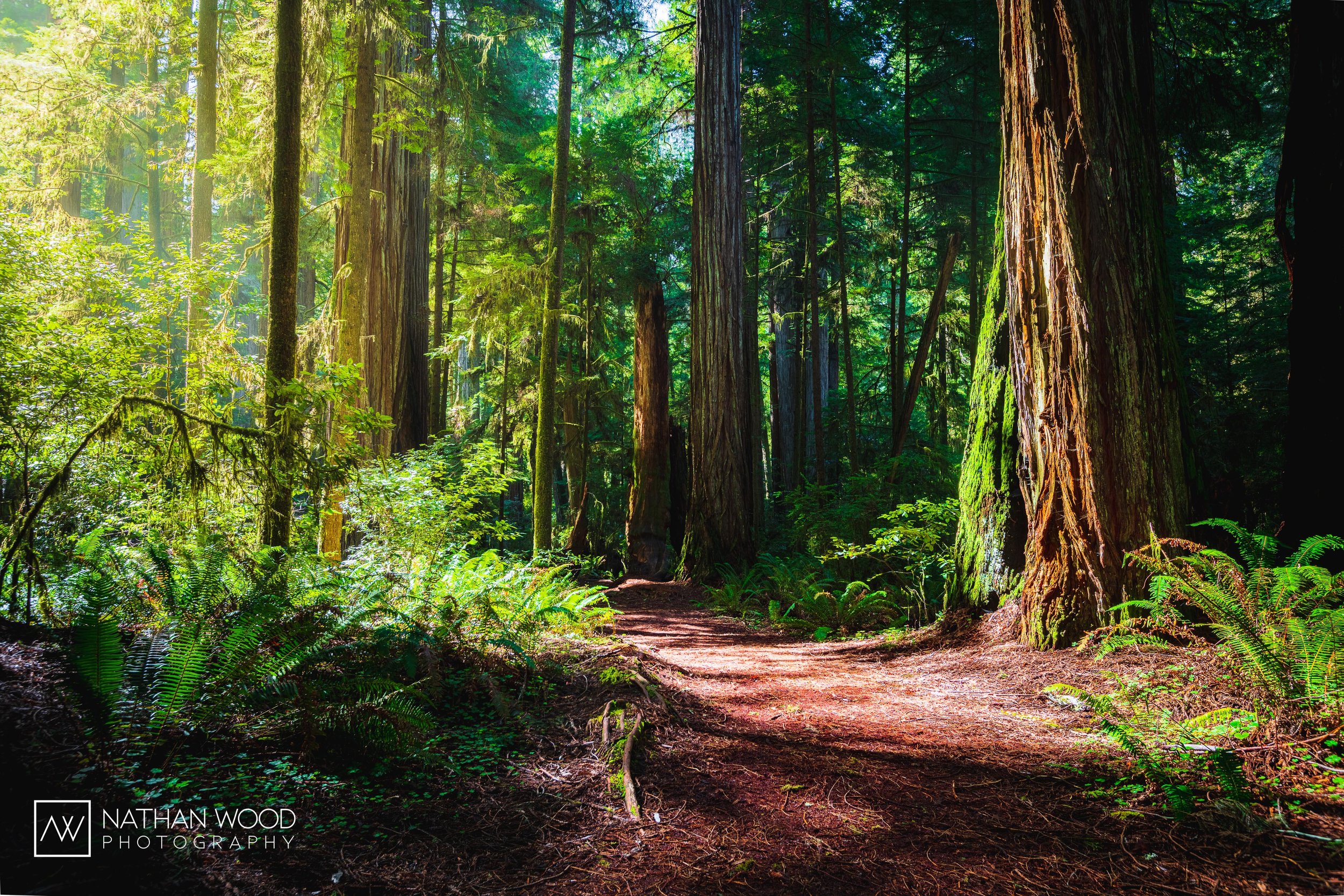 _MG_8709-HDR.jpg