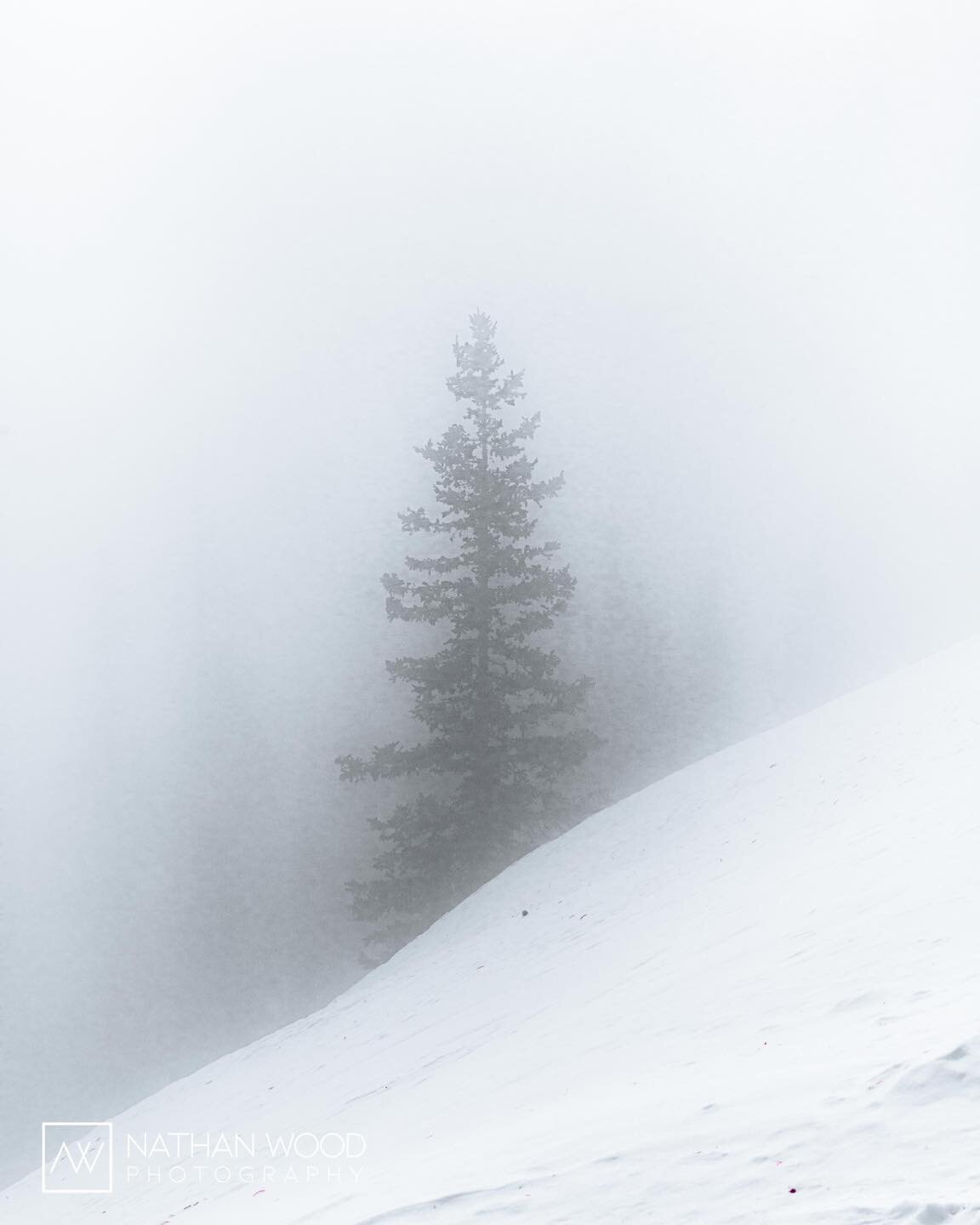 Merry Christmas from Rocky Mountain National Park!!! 🎄 

#moody_nature #landscapelover #visualsofearth #beautifuldestinations #simplyadventure #landscapephotomag #landscapephotography #roamtheplanet #modernoutdoorsman #exploremore #nathanwoodphotogr