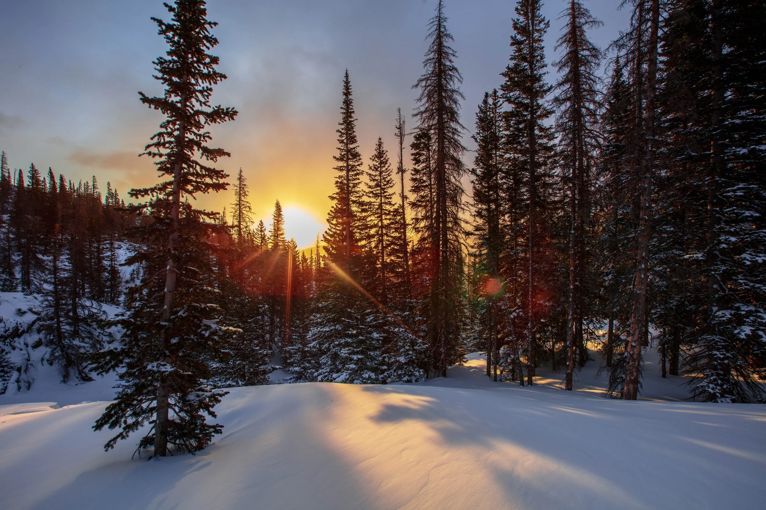 _MG_9320.jpg