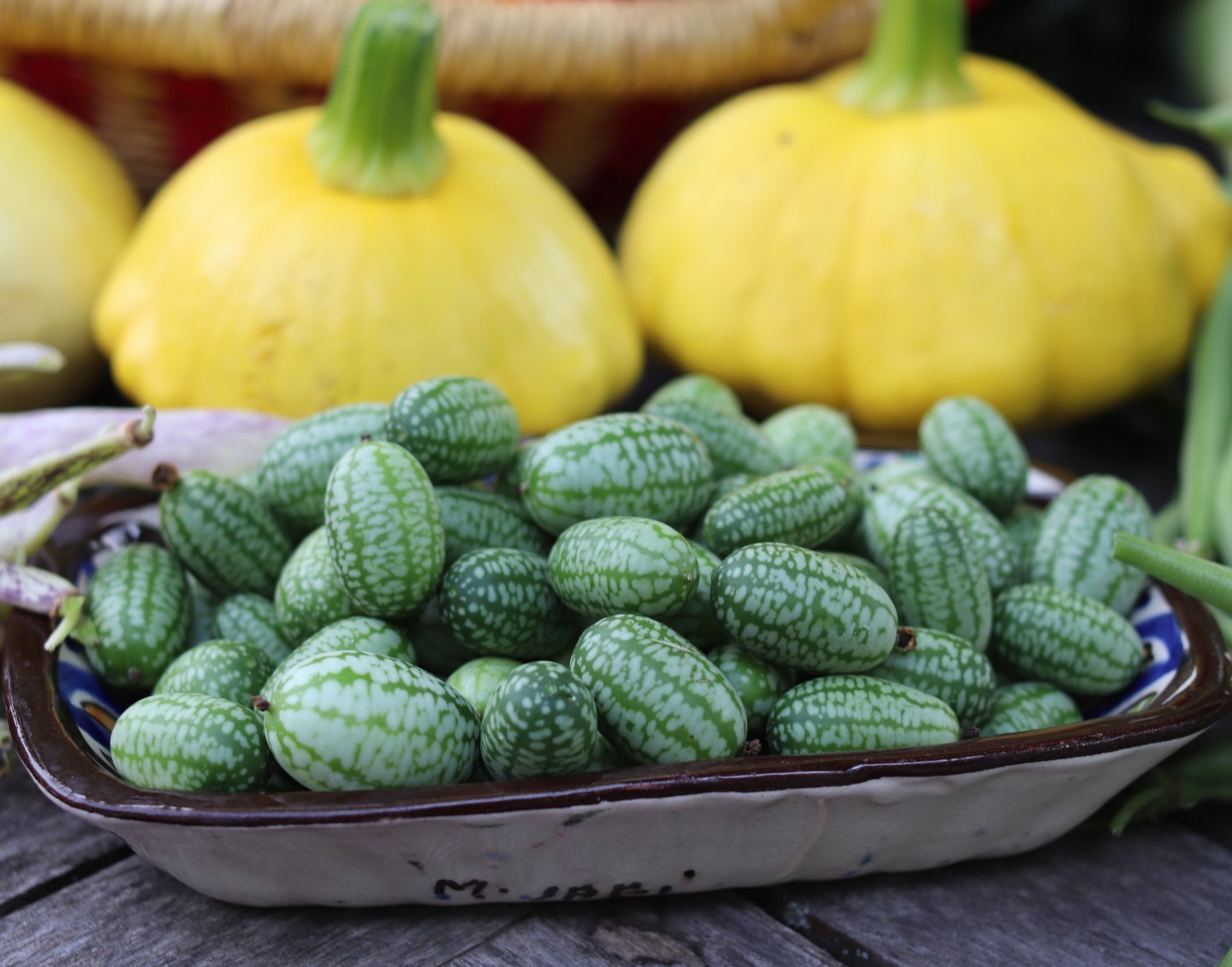 Cucamelons: Debunking Garden Envy