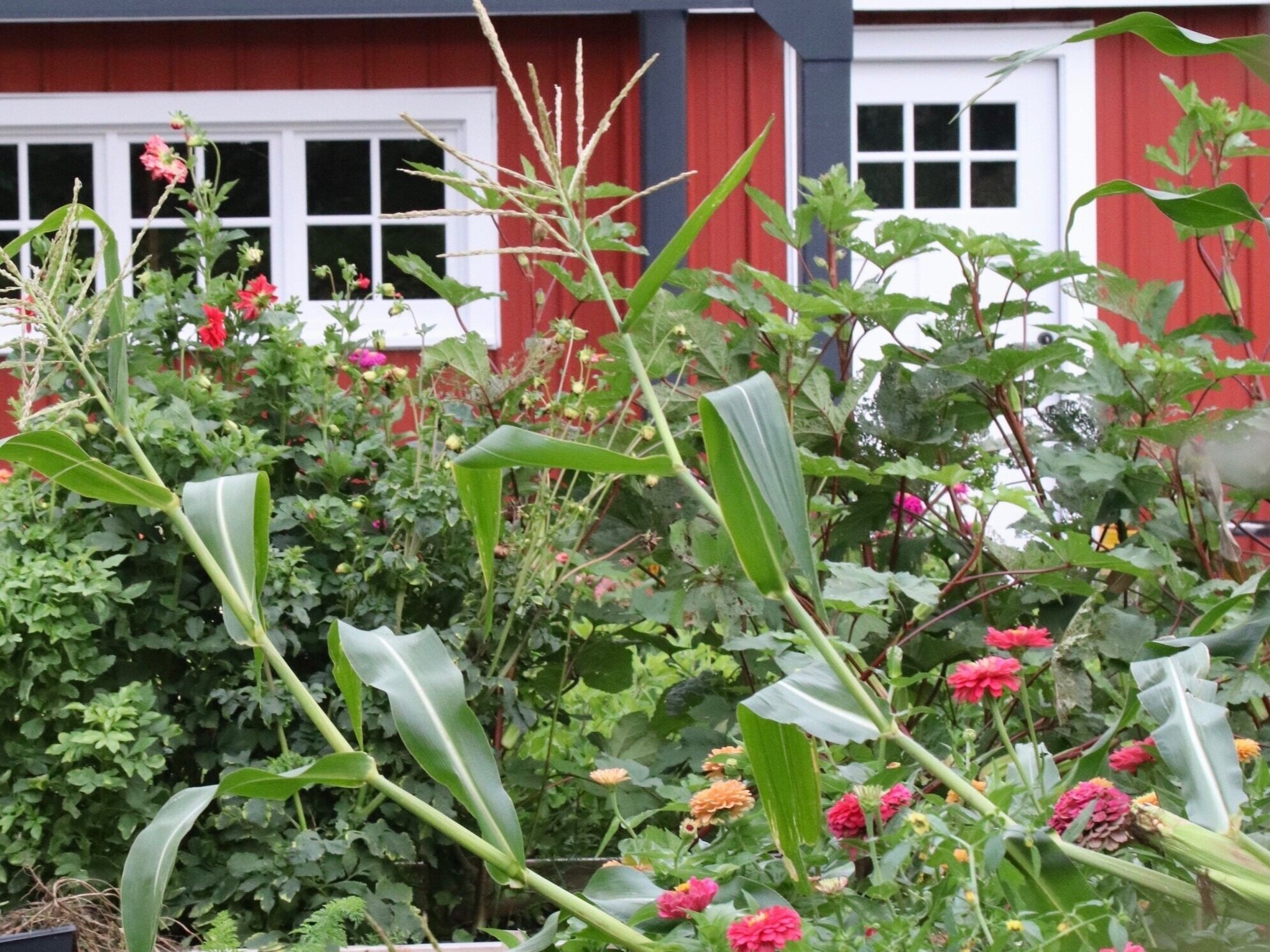 Garden Lessons are Life Lessons