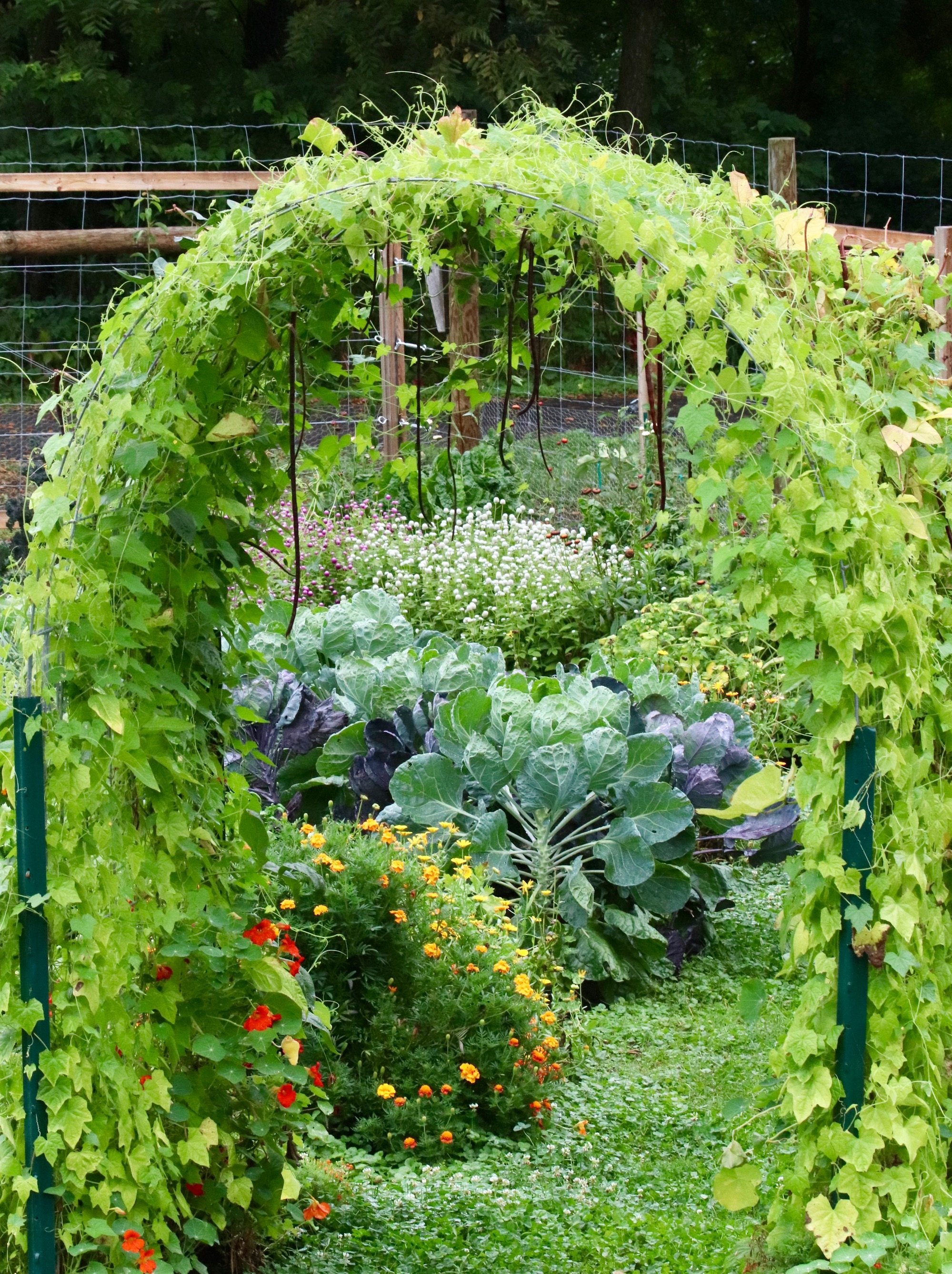 2018: Our Garden In Review