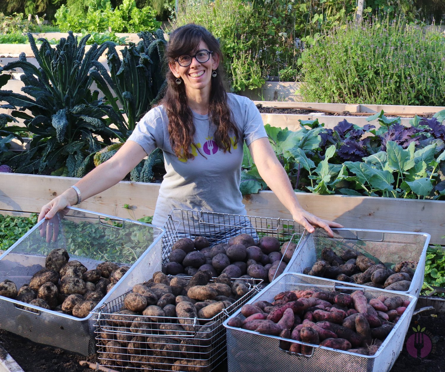 potato harvest.jpeg