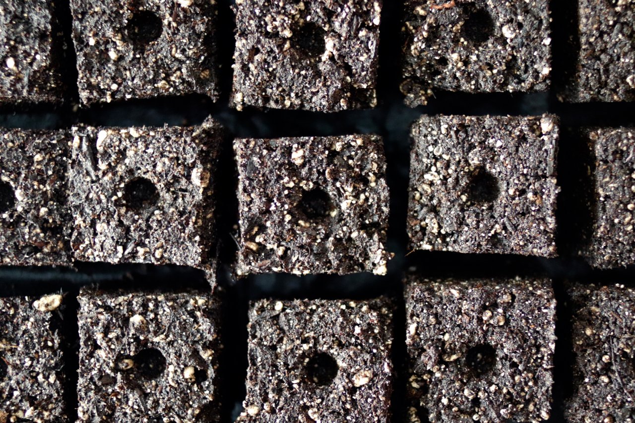 Soil Blocks: A Potless Approach to Seed Starting