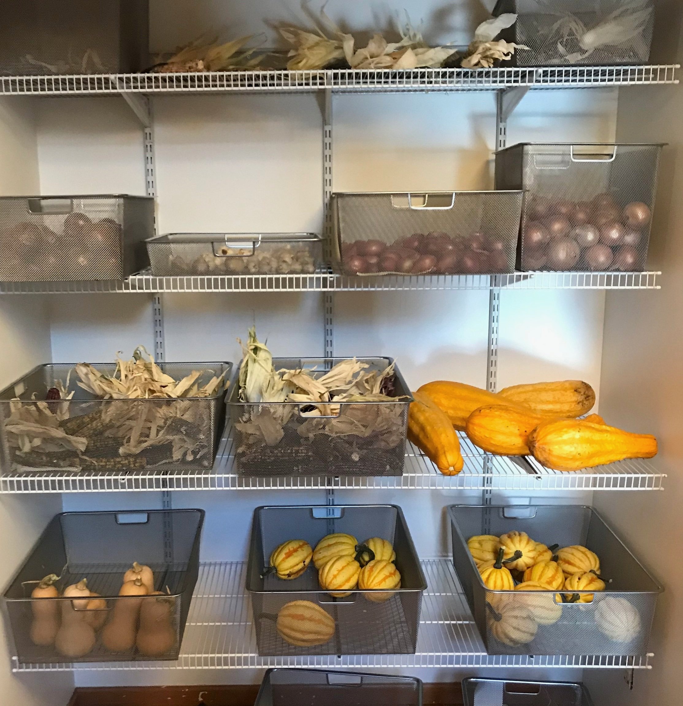 Root Cellars: Putting up the Harvest, My Way