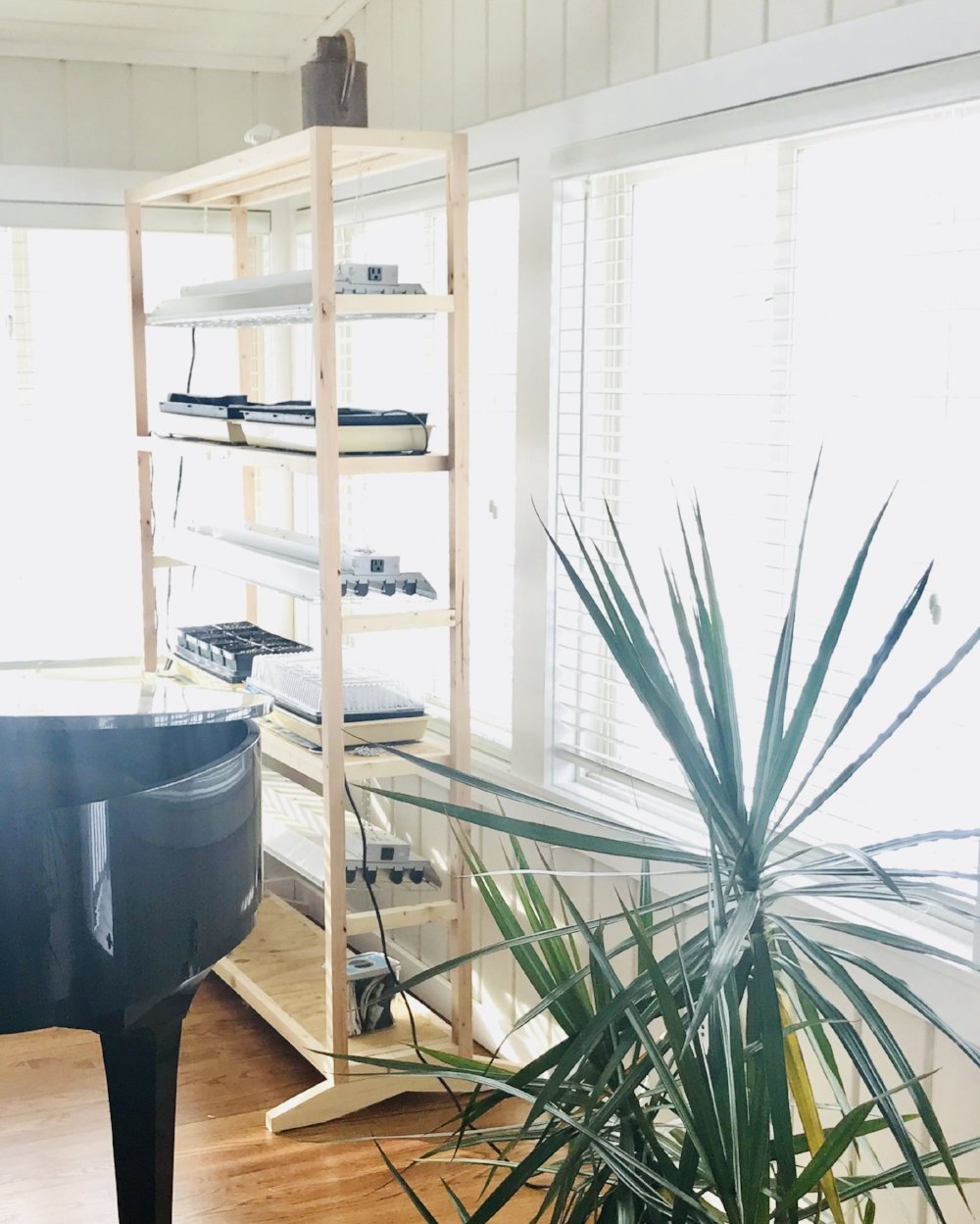 DIY Plant Stand