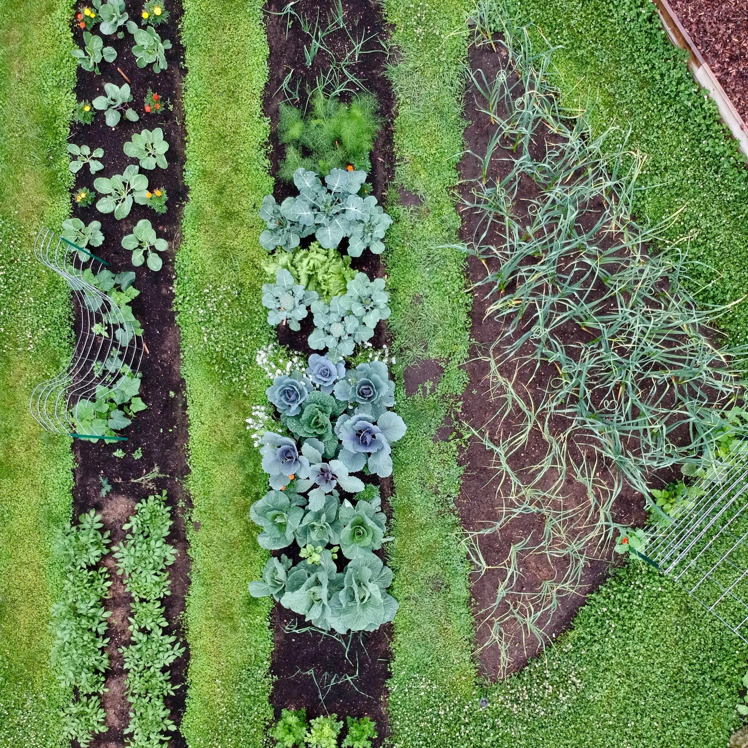 2019 Garden in Review