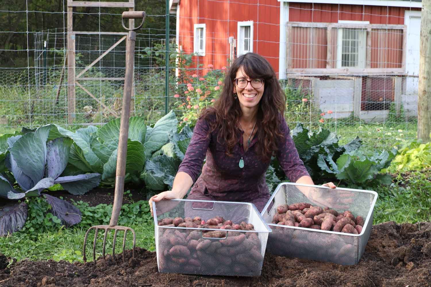 Cucamelons: Debunking Garden Envy — Seed to Fork - Meg Cowden