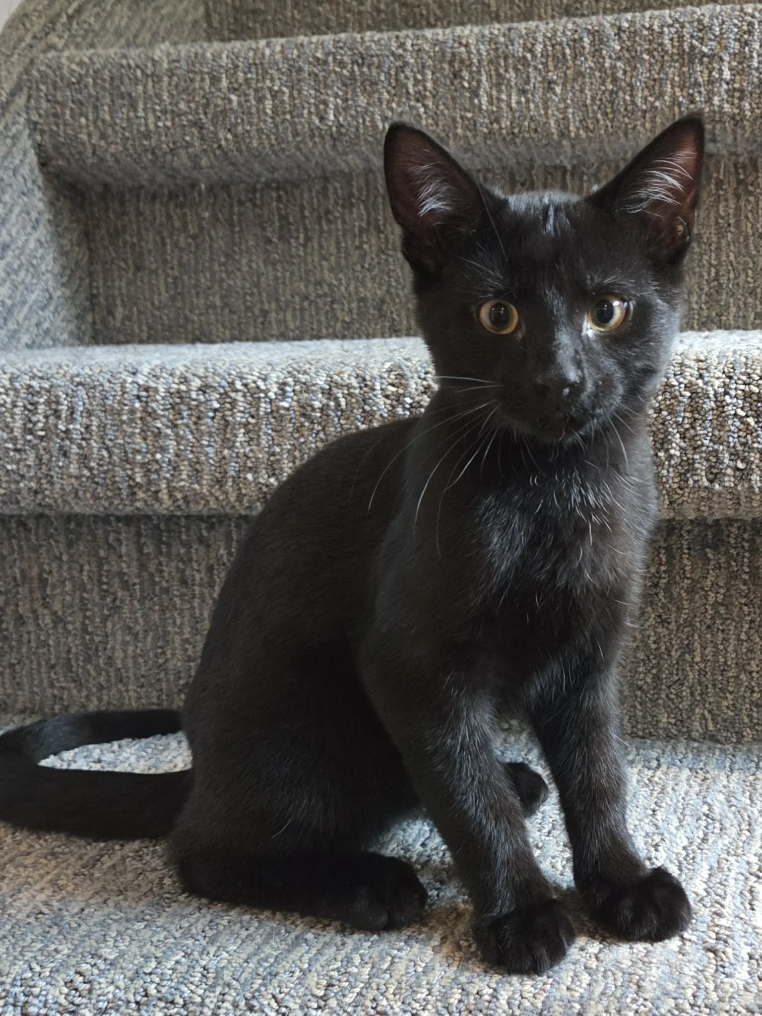 Mikito