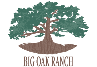 Big-Oak-Logo-texture-2.png