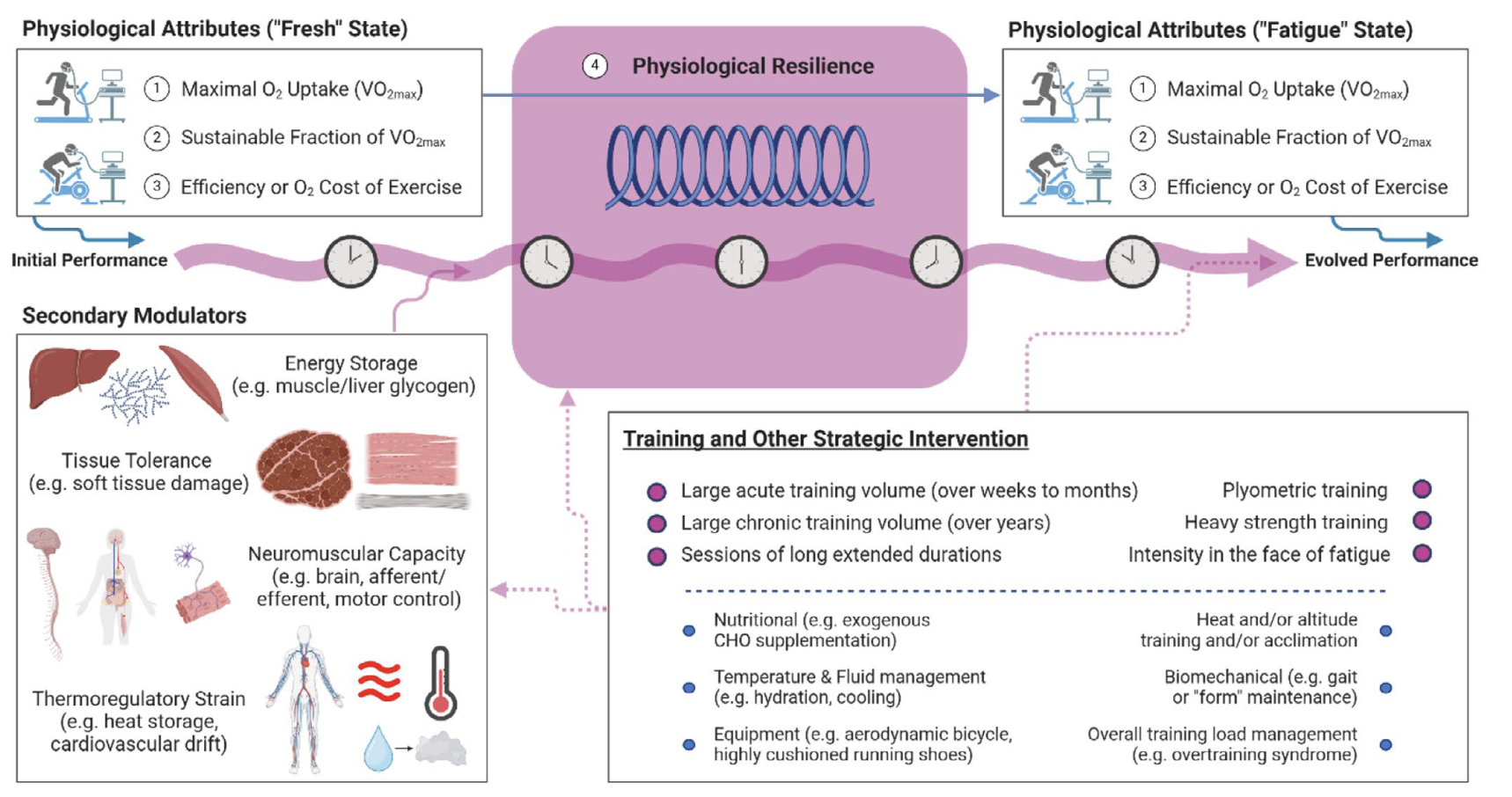 Schematic showing how key physiological variables decline over time with increasing stress, with greater resilience slowing the rate of performance degradation.