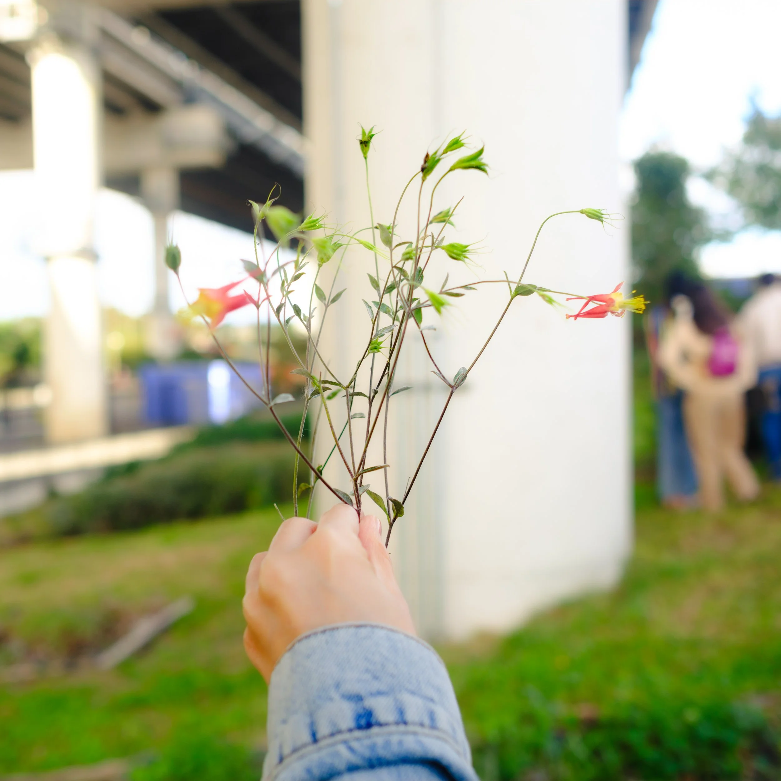 Grl Swirl_October 2023_Daniel Stewart_-31.jpg