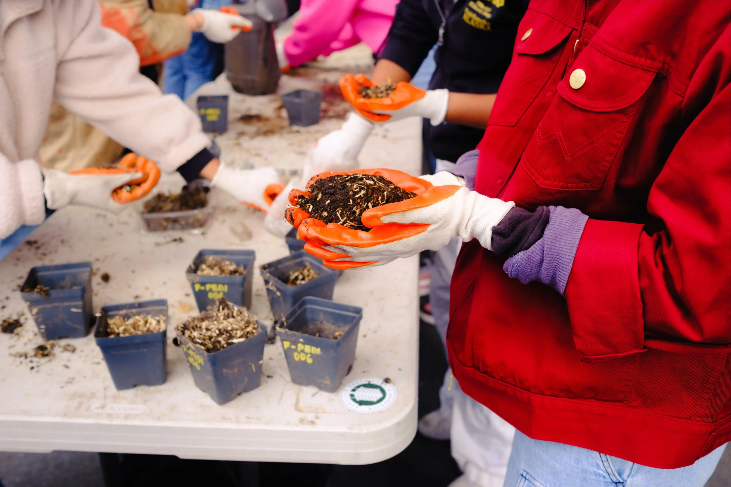 Grl Swirl_October 2023_Daniel Stewart_-9.jpg