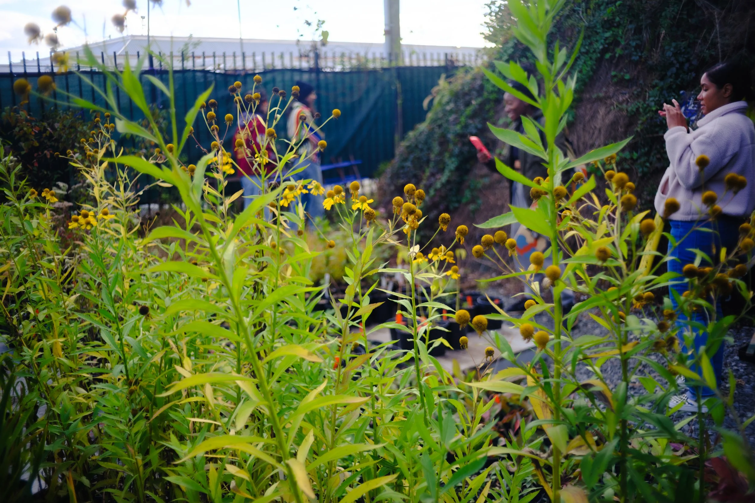 Grl Swirl_October 2023_Daniel Stewart_-35.jpg