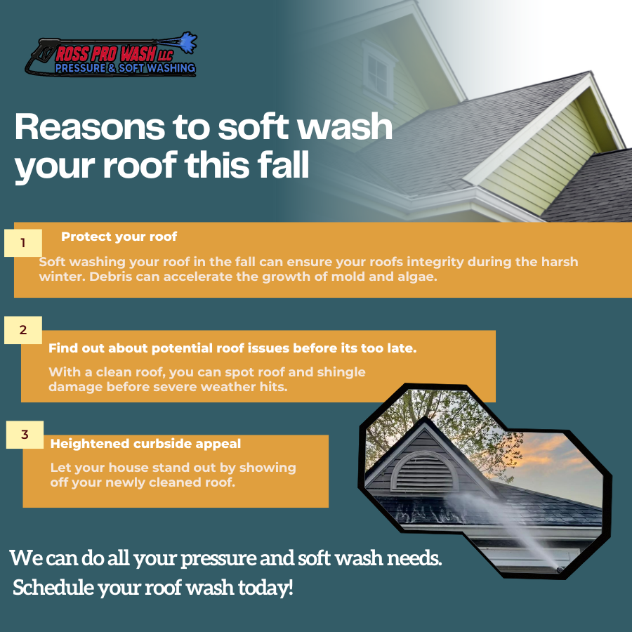 Graphic created for social media