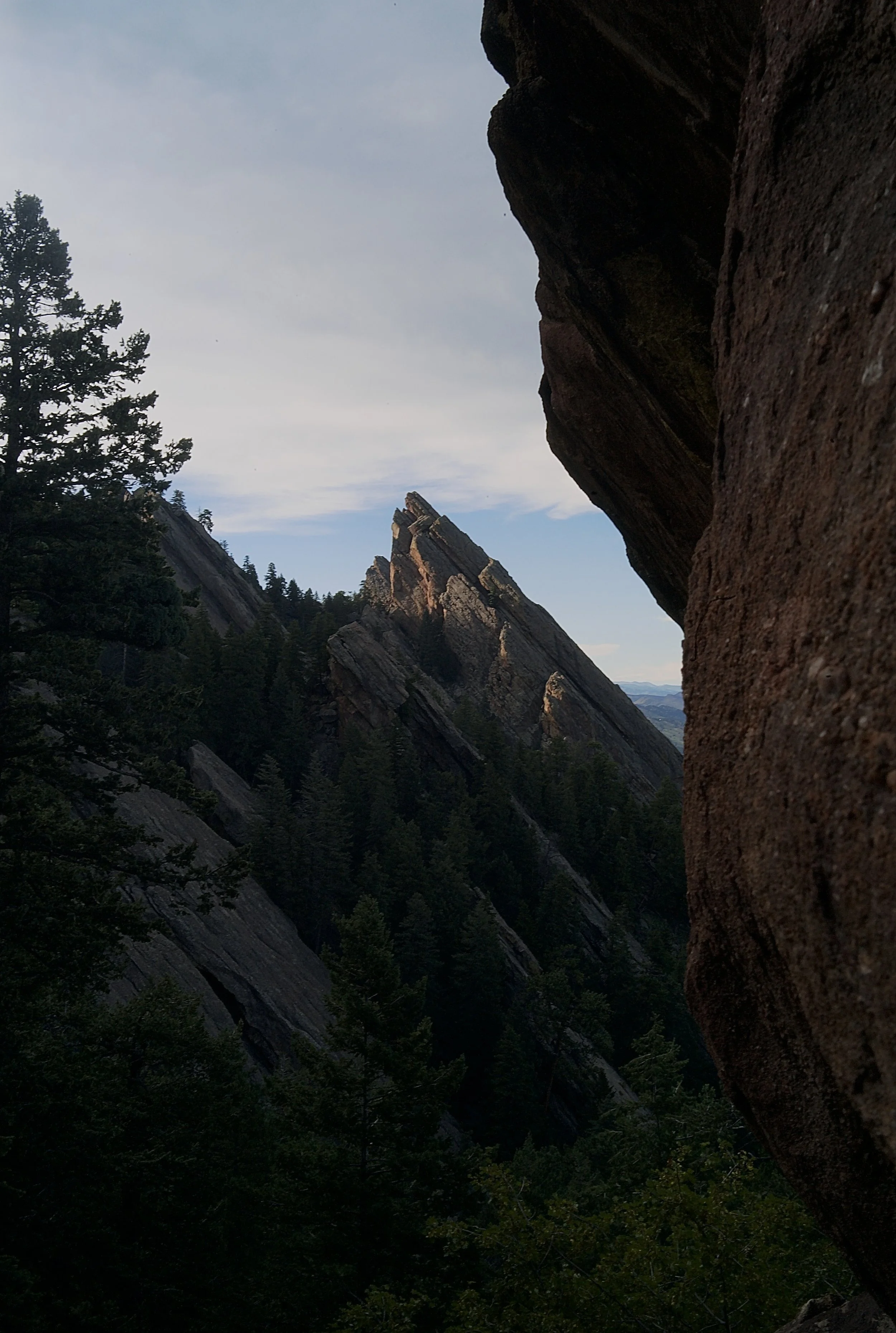 L1013521.jpg