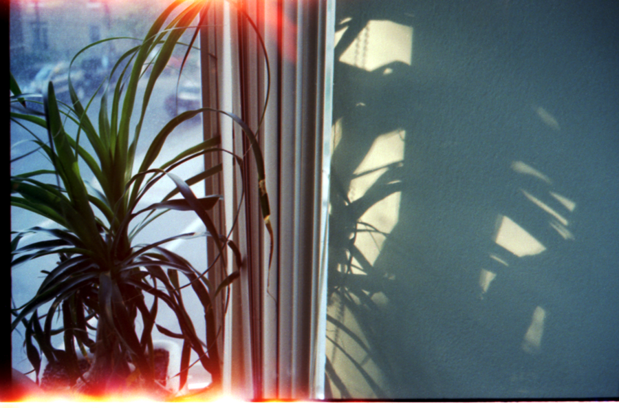 Film_2015_Spike2_Master.png