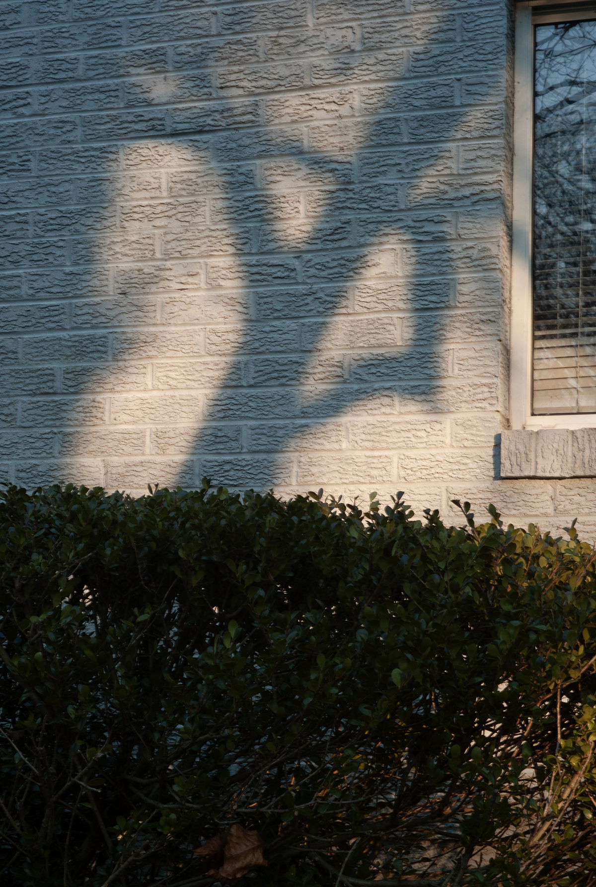 20150112_0137 copy 2.png