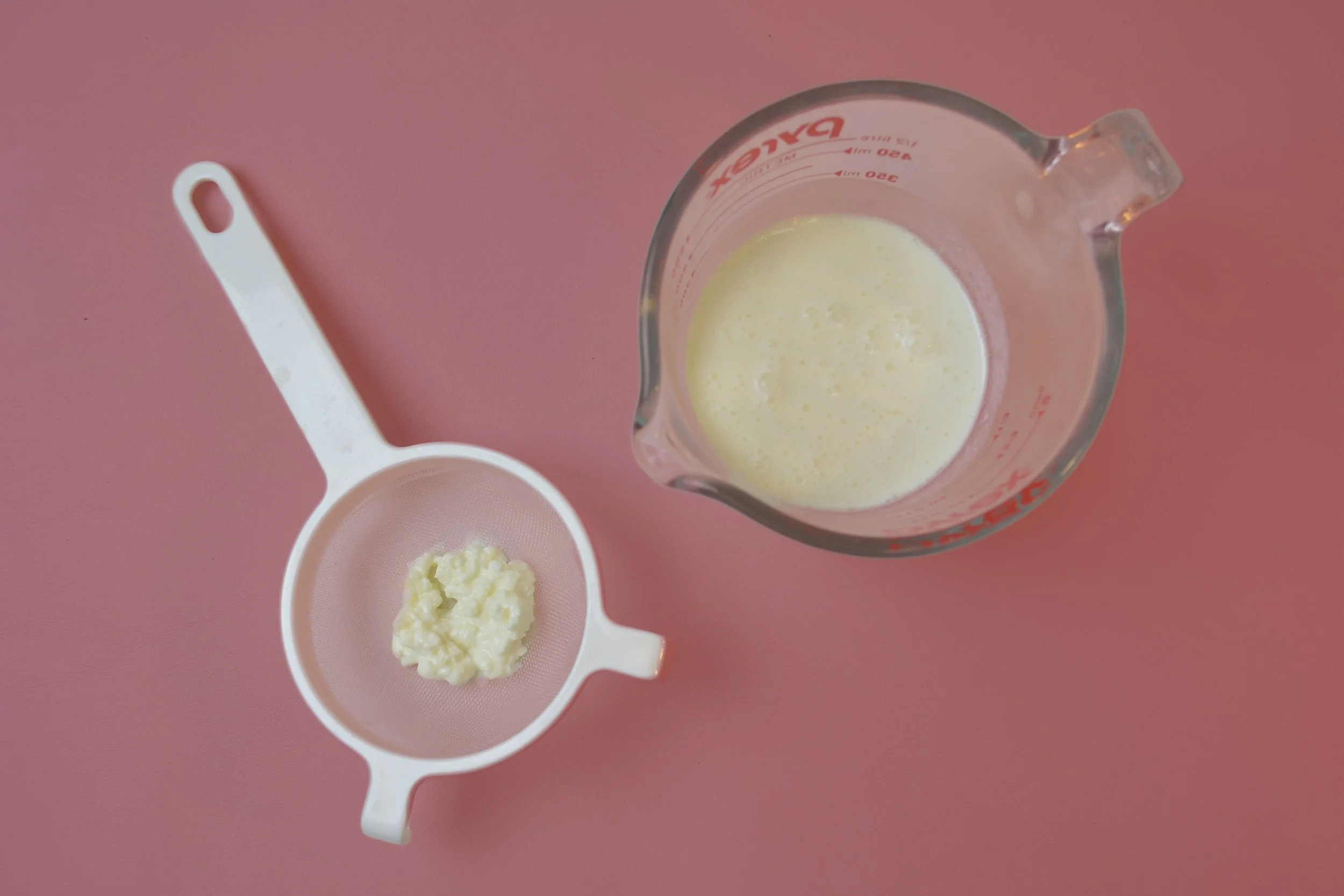 Kefir-Grains-Milk-Fermentation-At-Home-DIY-SCOBY-Culture-Live-with-Cup.jpg