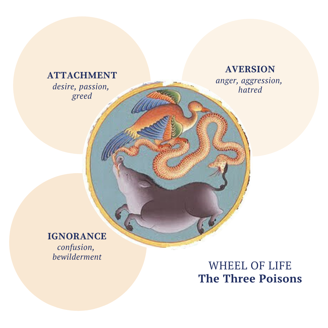 Introduction to Buddhism Course on Zoom Buddhist Awakening Course