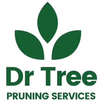 Dr Tree - pruning, surgery and removal