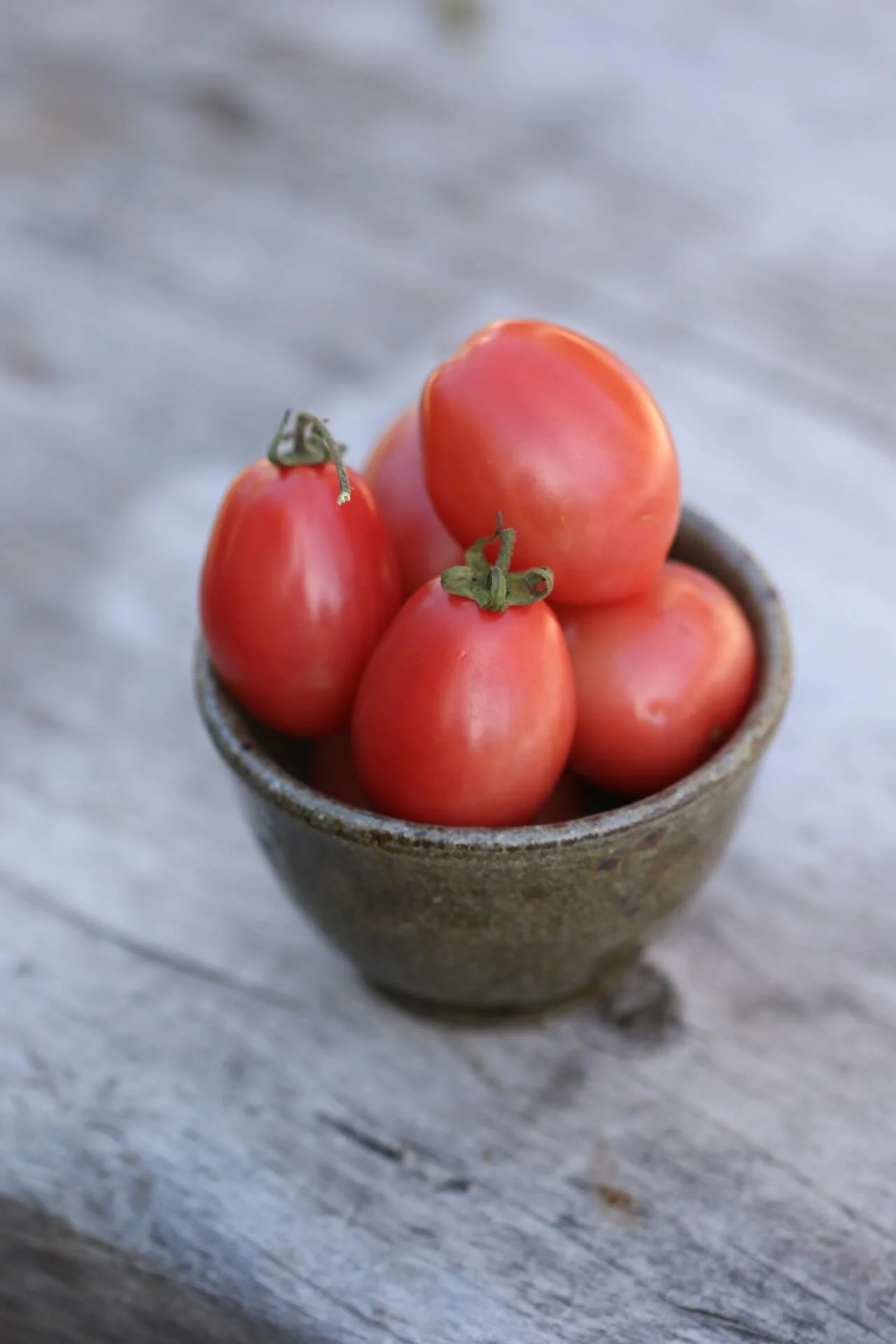 tomato thai pink egg tiny  .JPG