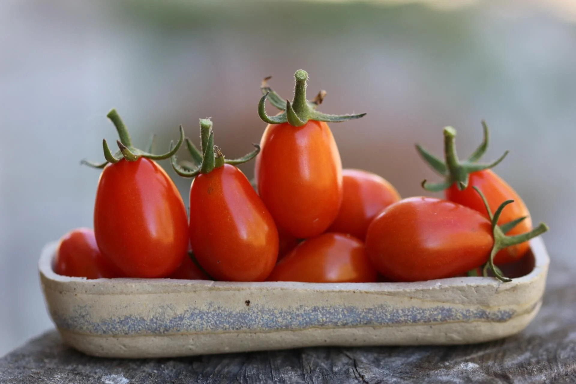 Cœur de Pigeon tomato seed