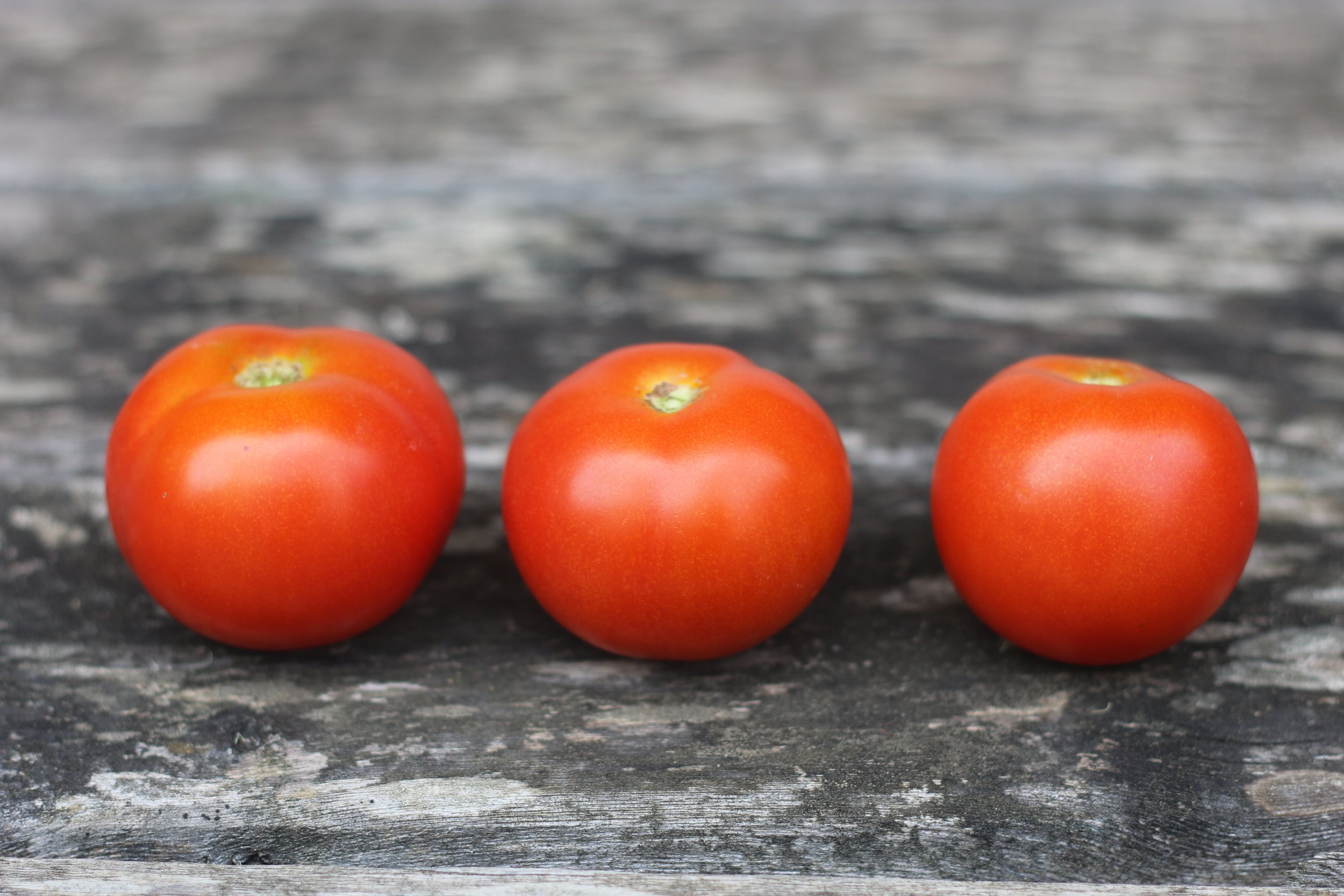 tomato Deutsche fliess .JPG