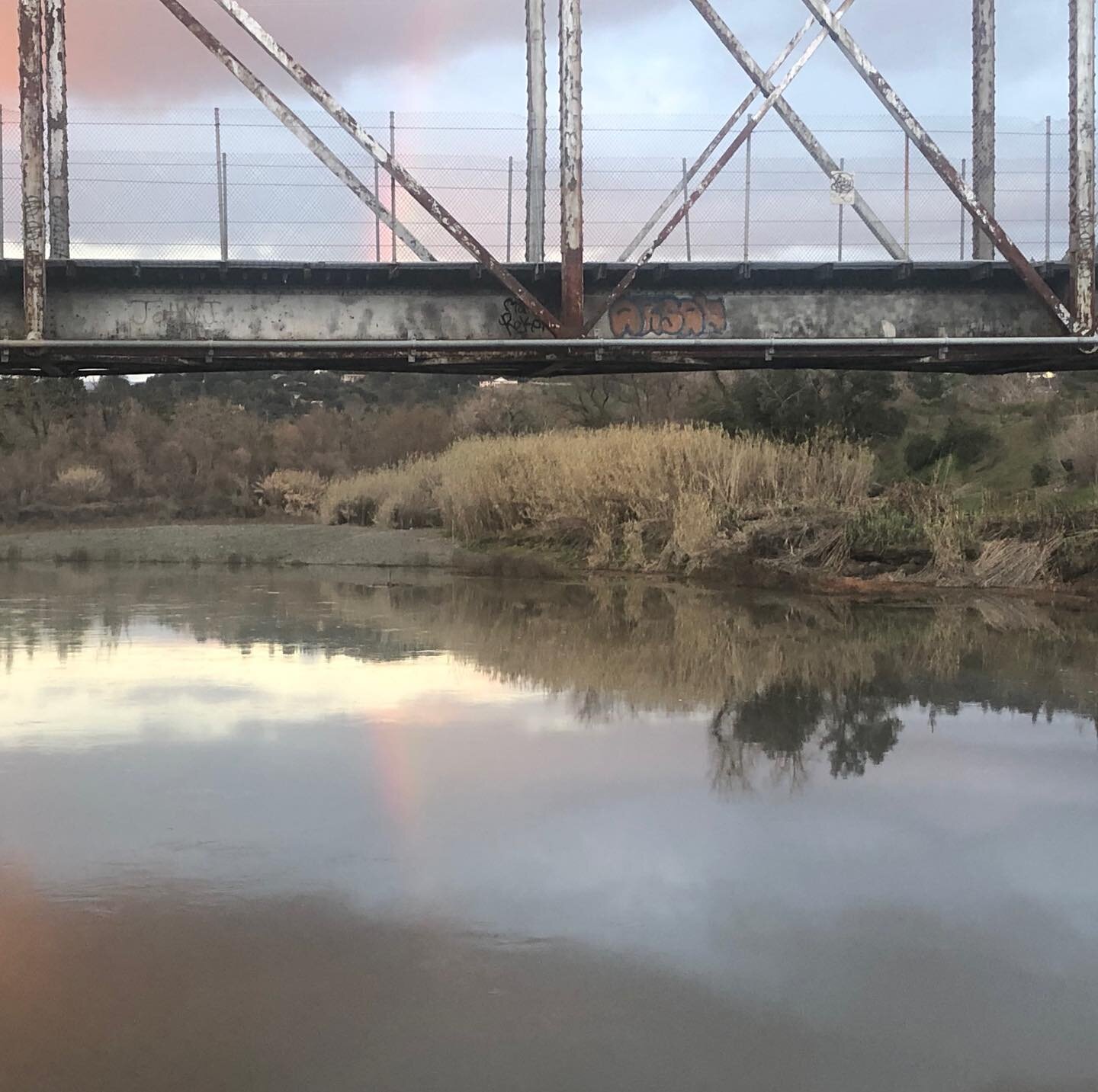 ...winter reflections