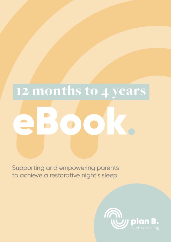 12 months to 4 years e-Book