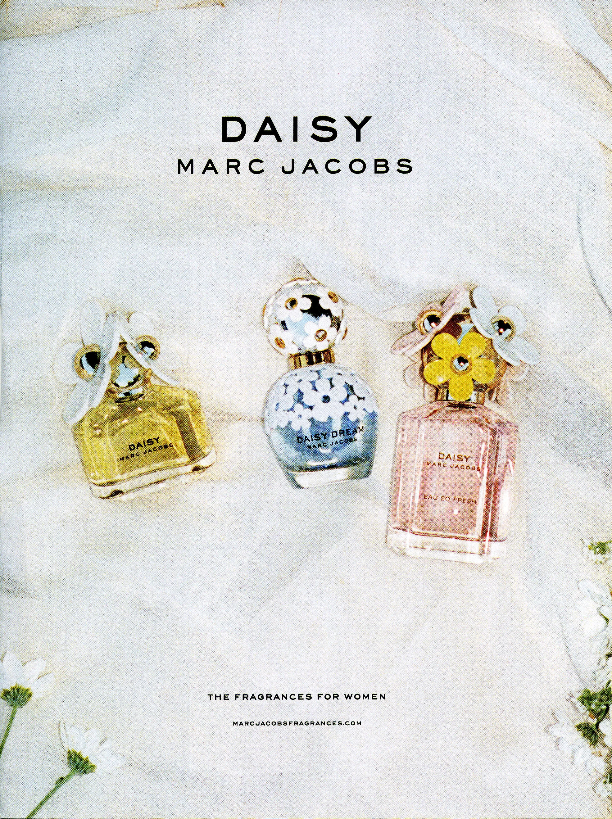 Daisy 2.jpg