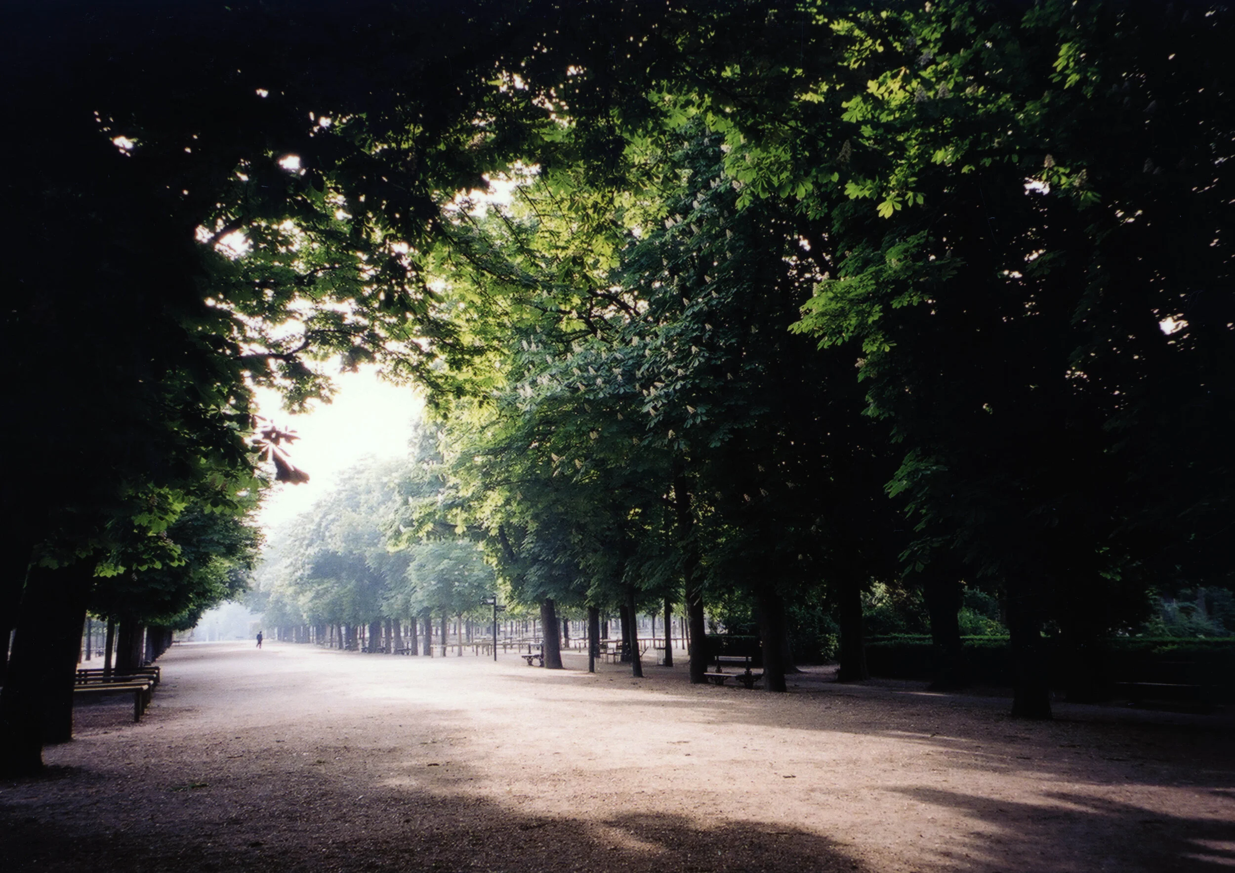 Paris 2.jpg
