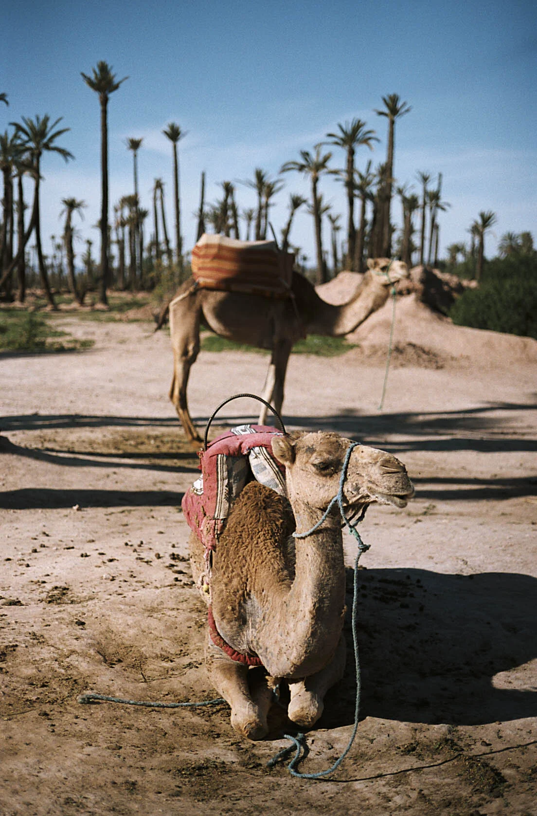 Morocco 2.jpg