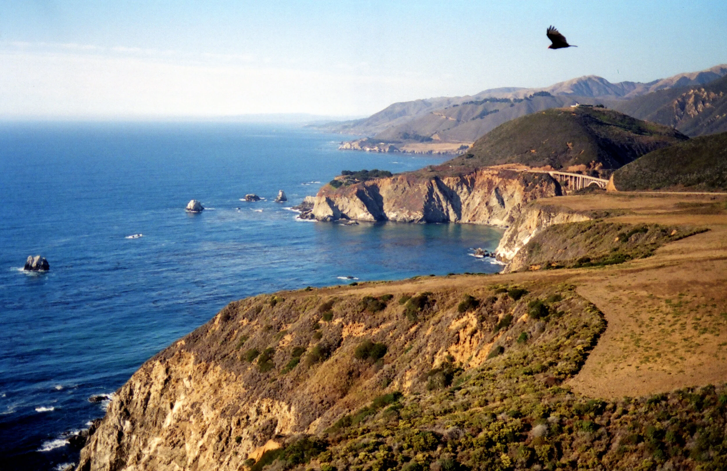 Norcal 5.jpg