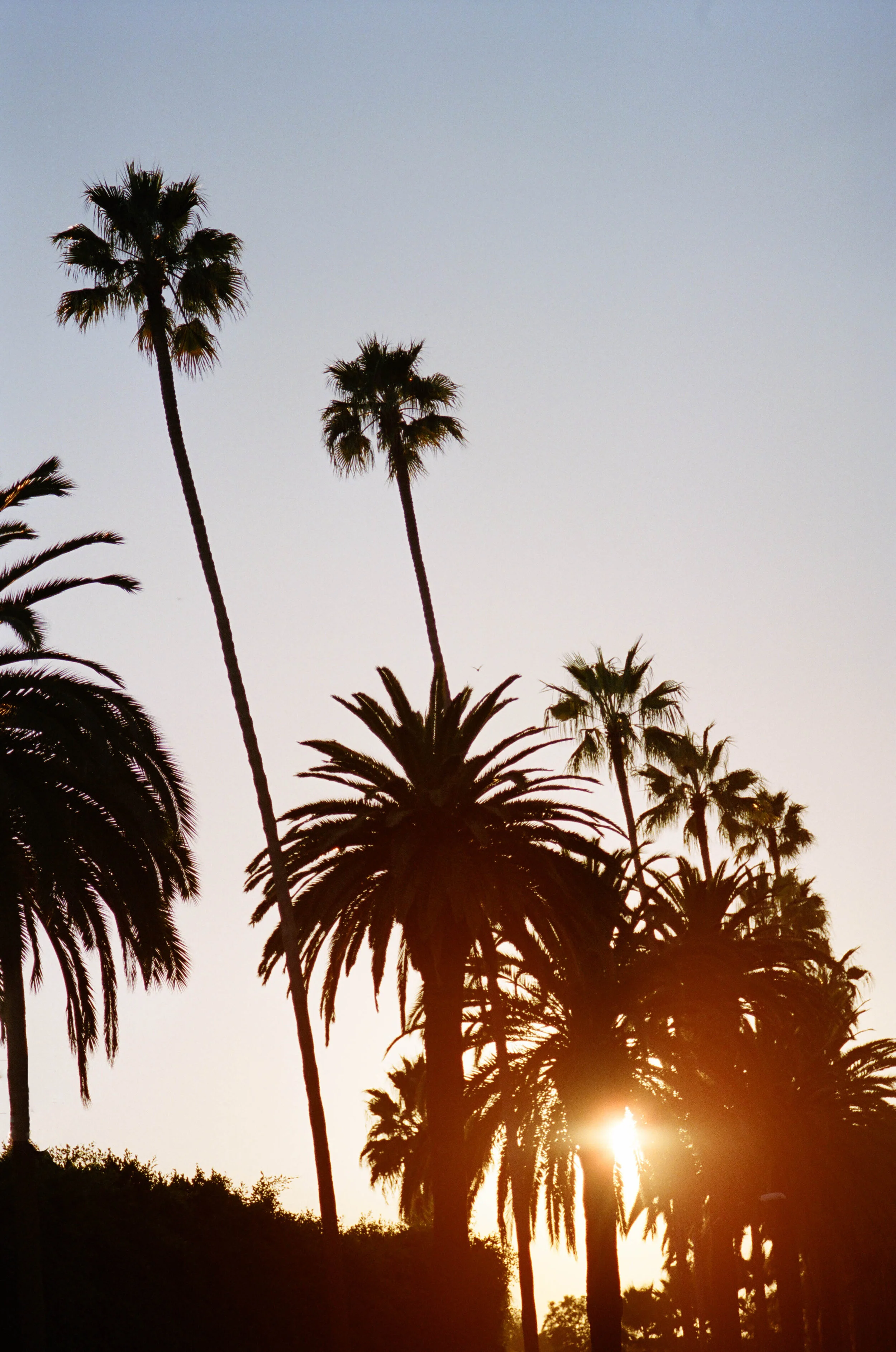 Chateau Marmont 5.jpg