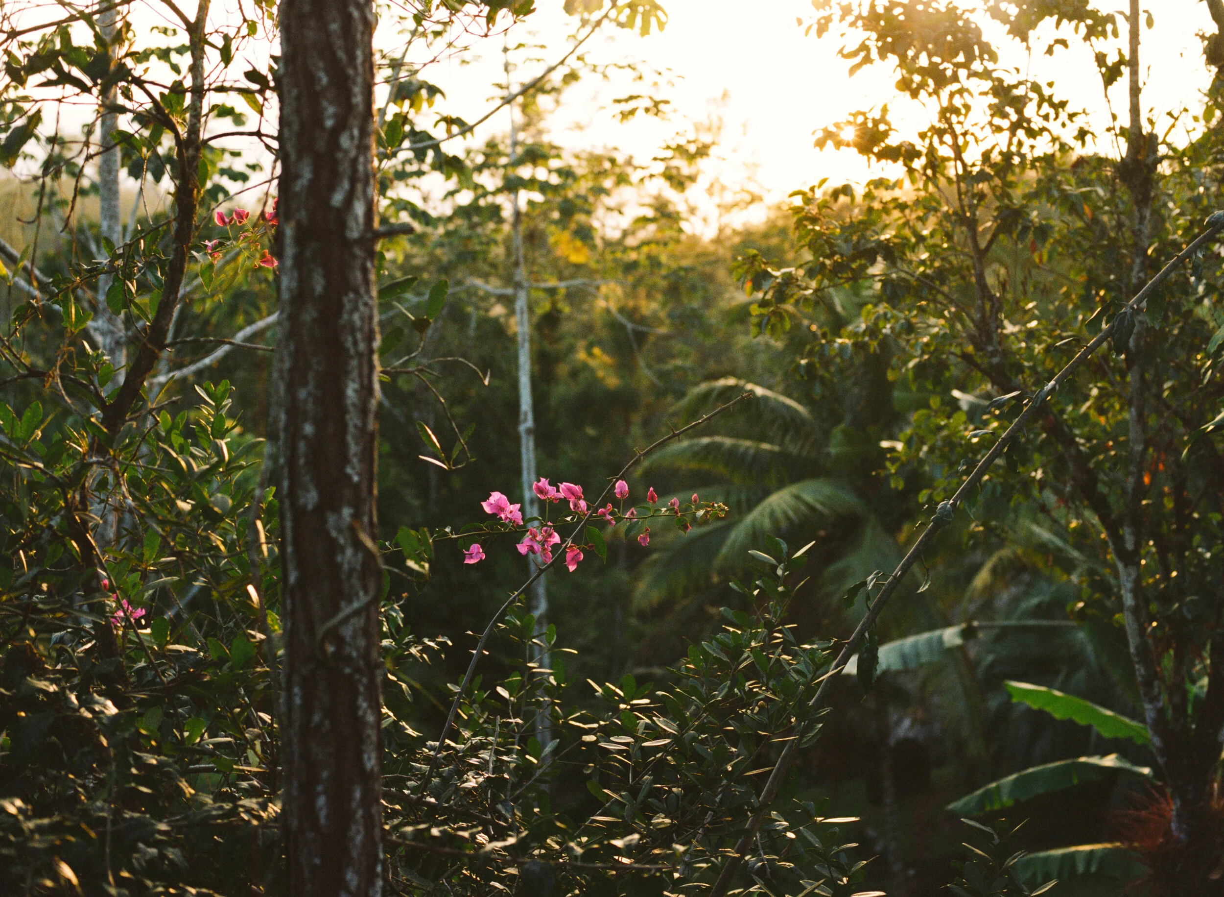 Belize 23.jpg