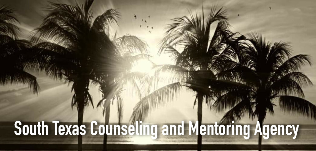  South Texas Counseling and Mentoring Agency