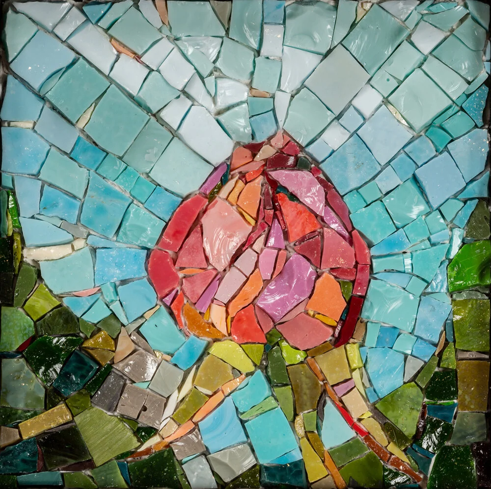 Hever Castle Rosebud