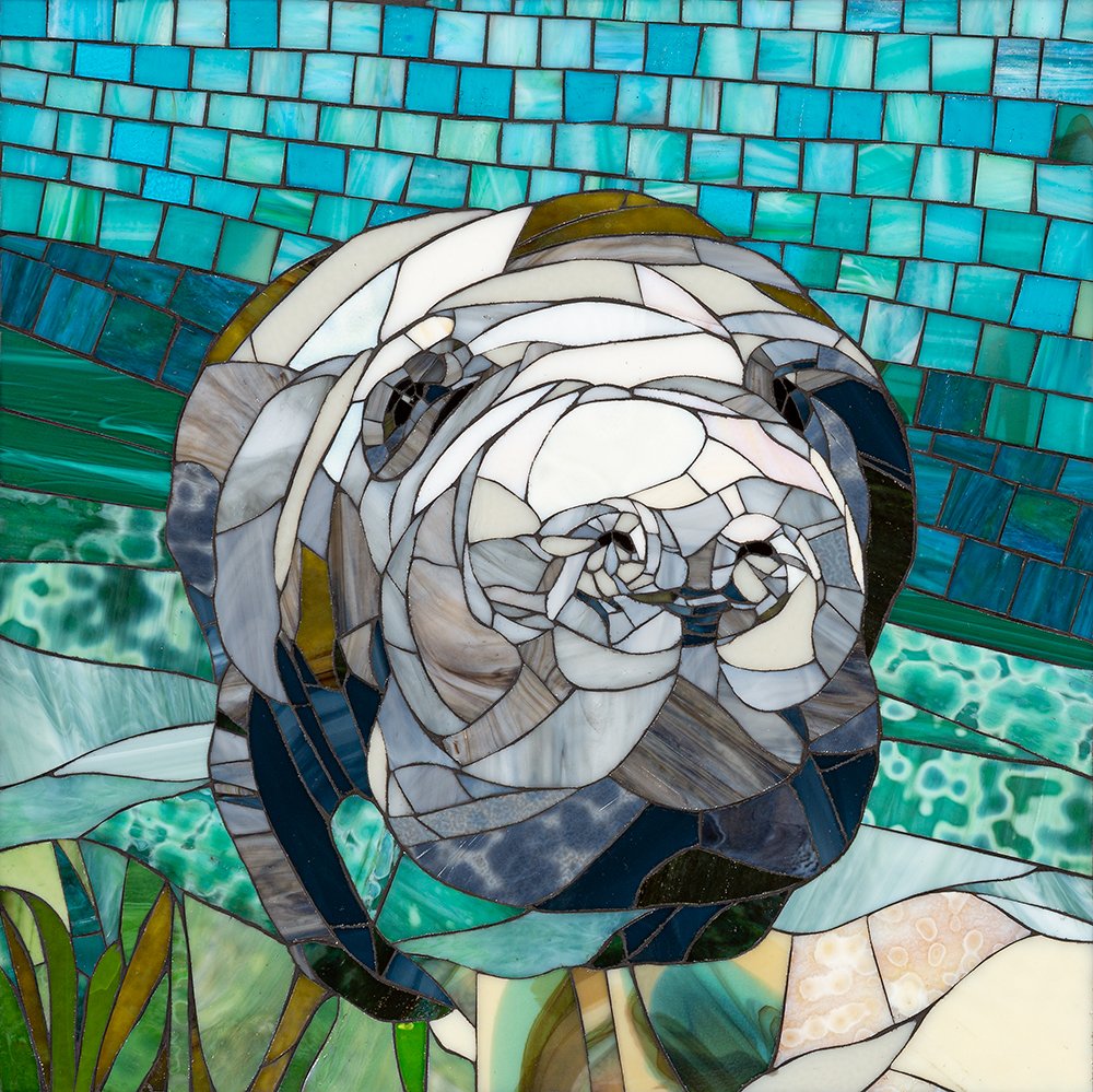 Mr. Manatee Fine Art Print