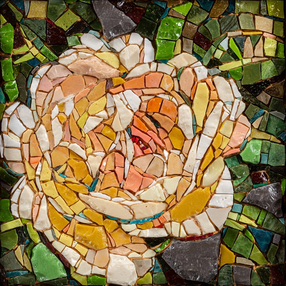 Hampton Court Rose Fine Art Print