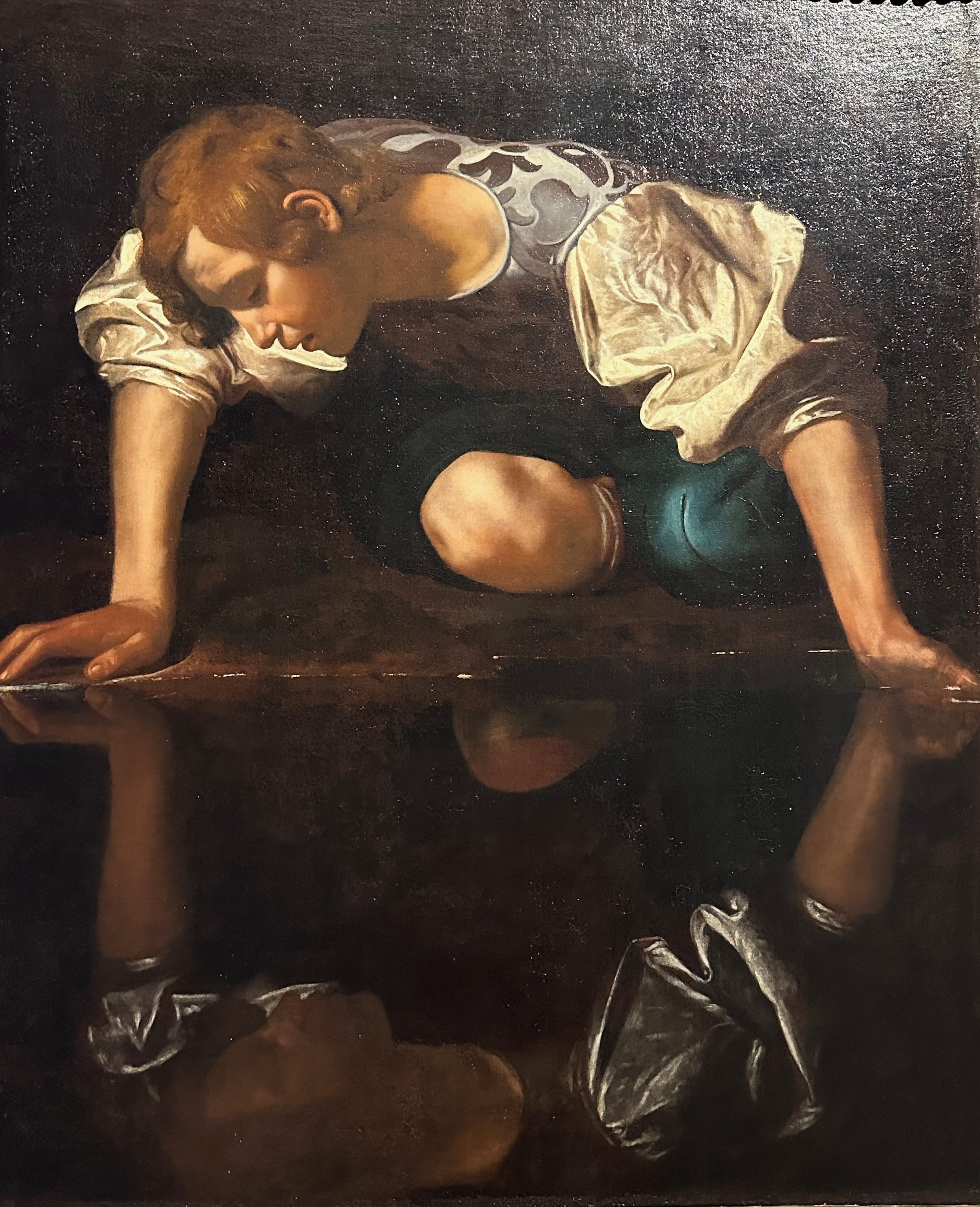 Narcissus 1599